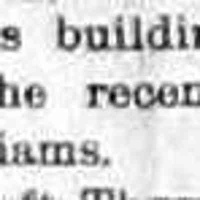 cr1899042801MrMartinBuildsAHouse.jpg: Mr. Martin, Mrs. Williams