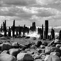          616 6/6	Saugatuck - beach	9/1945	Old piling on Lake Michigan
   