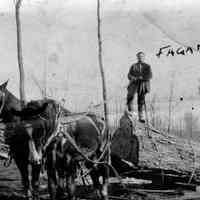 Fagan Ash hauling a log