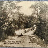 Through the Woods 26