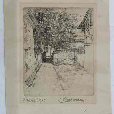 The Alley by Carl Hoerman