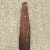          Float used in hook line fishing. Linseed oil treated wood. Metal ring at top.; Hung inside the Demerest Shanty, May 2021
   