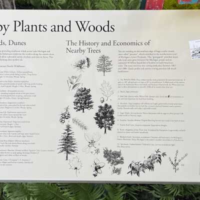 Station 2 Nearby Plants and Woods with Sawdust Towns inset
