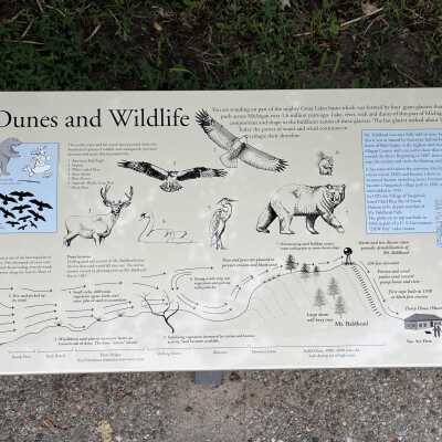Station 3 Dunes and Wildlife