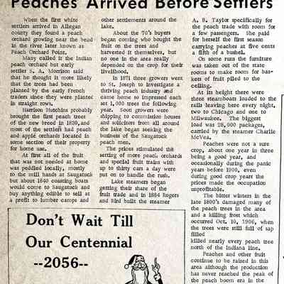 Peaches Arrived Before Settlers: Peach Orchard Point and the origins of peach farming, steamer Charlie McVea, big freeze Oct. 10, 1906