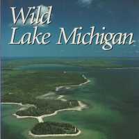 Wild Lake Michigan