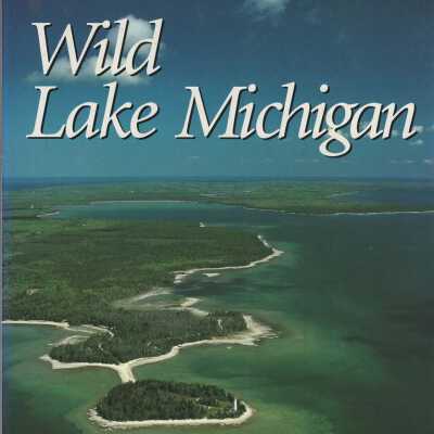 Wild Lake Michigan