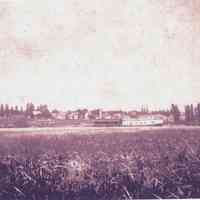 Douglas shore 1892-1896