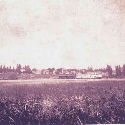 Douglas shore 1892-1896