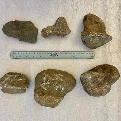 Peach Orchard Point Rocks