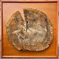 Log dollar stamped E and F