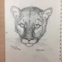 Tanberg pencil sketches