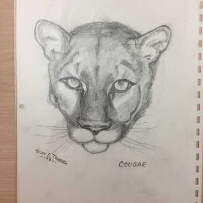 Tanberg pencil sketches