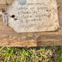          Skid picture number 2
   