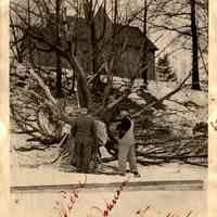 Tree removal 1946