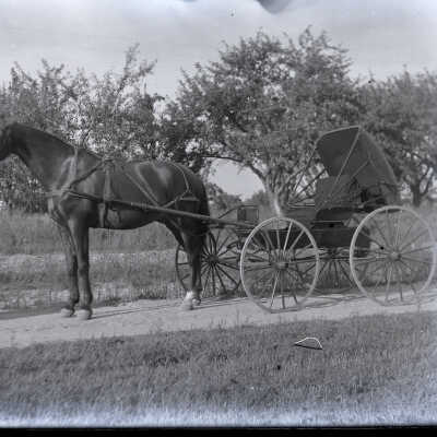 Horse & buggy: three negatives of this image