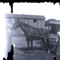          Ladies & Buggy; woman at right looks to be same woman as mother and child photos
   