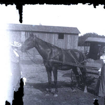 Ladies & Buggy: woman at right looks to be same woman as mother and child photos