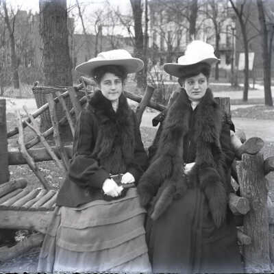 Lovejoy glass plate negatives