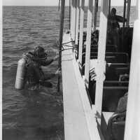          DiversIslandQueen; Oleson Donation
   