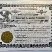          Big Pool Stock Certificate picture number 1
   