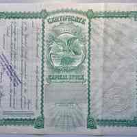          Big Pool Stock Certificate picture number 2
   