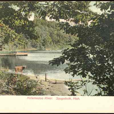 River_scene_with_cow.jpg 915KB from Zolper collection: How now, brown cow? A cow stands on the edge of the Kalamazoo river bank in this colorized postcard