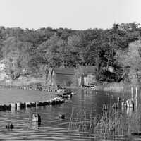          311 0/1	Ox-Bow - Lagoon	10/1942	Old pilings
   