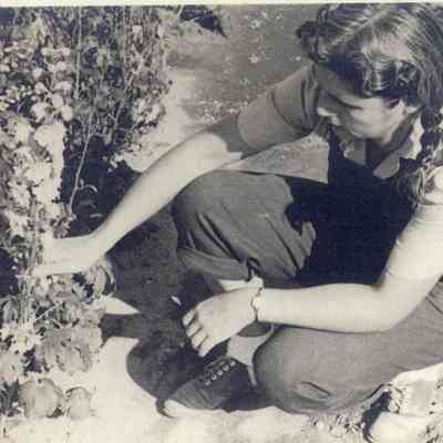 LornaMannIn garden.JPG 539KB