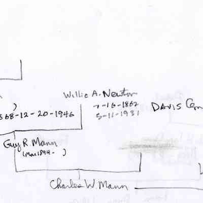 Mann.JPG 221KB: Mann family tree