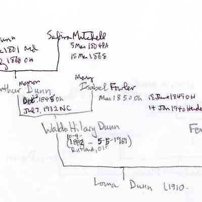 Mann0001.JPG 163KB: Dunn family tree