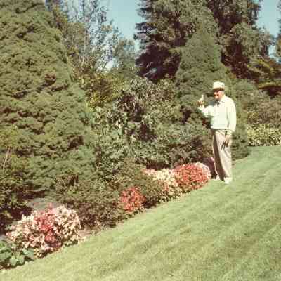 Mann0070-Sep81.JPG 227KB