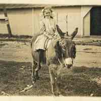          BB-OnDonkey-GladysMbe.JPG Heath collection 360KB; Girl thought to be Gladys Heath, daughter of May Francis Heath
   