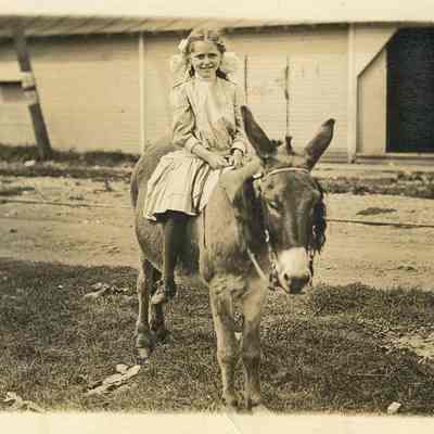 BB-OnDonkey-GladysMbe.JPG Heath collection 360KB: Girl thought to be Gladys Heath, daughter of May Francis Heath