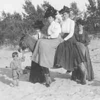          WomenOnDynamite.jpg 515KB; Four women, two on Dynamite, two standing behind with a boy holding the Donkey's lead
   