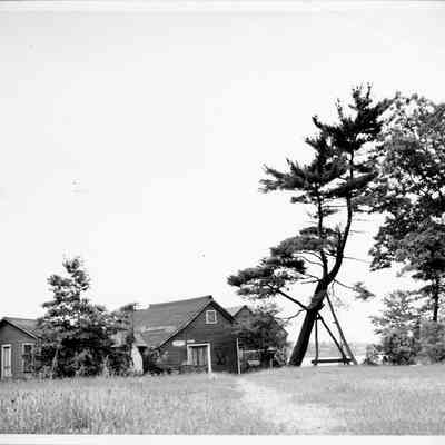 Propped up pine - Oxbow.jpg 1.6MB