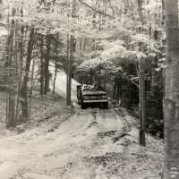 Saugatuck Dune Rides
