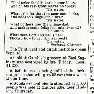 2. Detroit Evening News 08/31/1889: "R.F. Kluman, ..." top