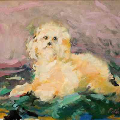 PolkaDog.jpg 5.1MB