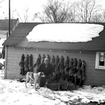 226 Fox hunter lower right