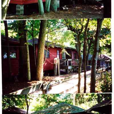 Presbyterian_Camp_2002_B.jpg 1.8MB: 2002 Top to bottom: Rose 1 / Rose 2 / Cherry