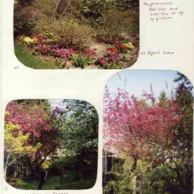 Scan10345.JPG 1.3MB: Sample image from Mann's 2000 garden with captions album