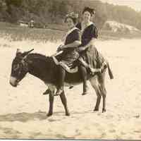          05.TwoFemaleBathersonDonkey1910.jpg 113KB
   