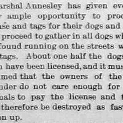 cr1899090801MarshallAnnesleyProsecutesDogLaw.jpg