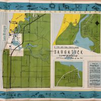 Saugatuck Township map