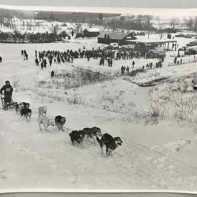 Dog sled races