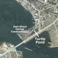          Turtle Pond stories picture number 3
   