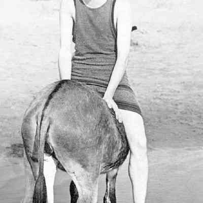11b donkey backwards.jpg 262MB: ass backwards