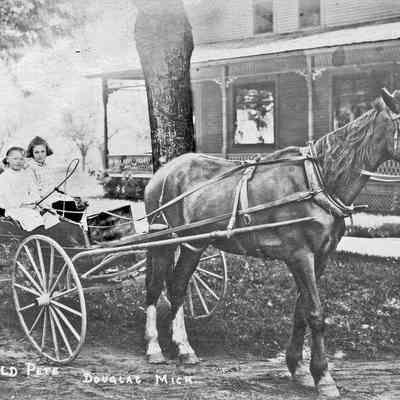 Douglas_horse_Old_Pete_ca_1910: Old Pete Douglas Mich Horse and carriage