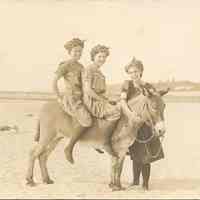          Beach ThreeFemaleBathersDonkeyDynamite.jpg 94MB; Three merry young women in swimming attire
   